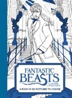 Fantastic Beasts and Where to Find Them: A Book of 20 Postcards to Colour