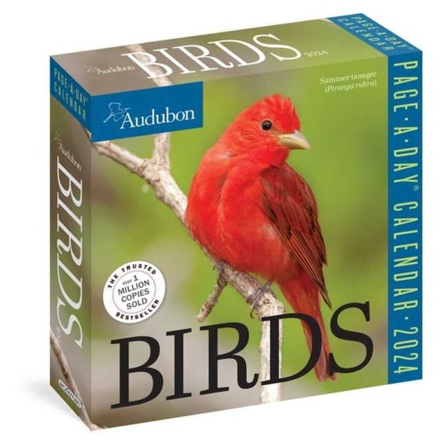 Audubon Birds PageADay Calendar 2025