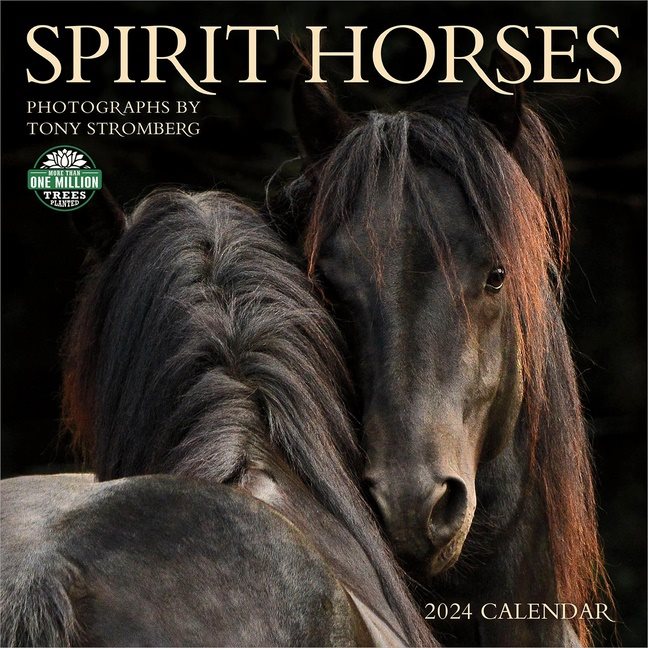 Spirit Horses 2024 Calendar   9798898000240 1.Jpeg